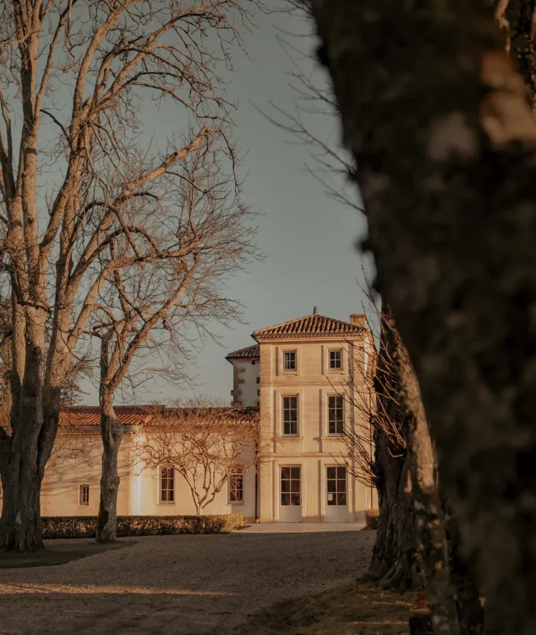 Vue du domaine du Château Fonroque